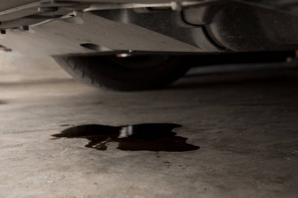 Land Cruiser Oil Leak Repair