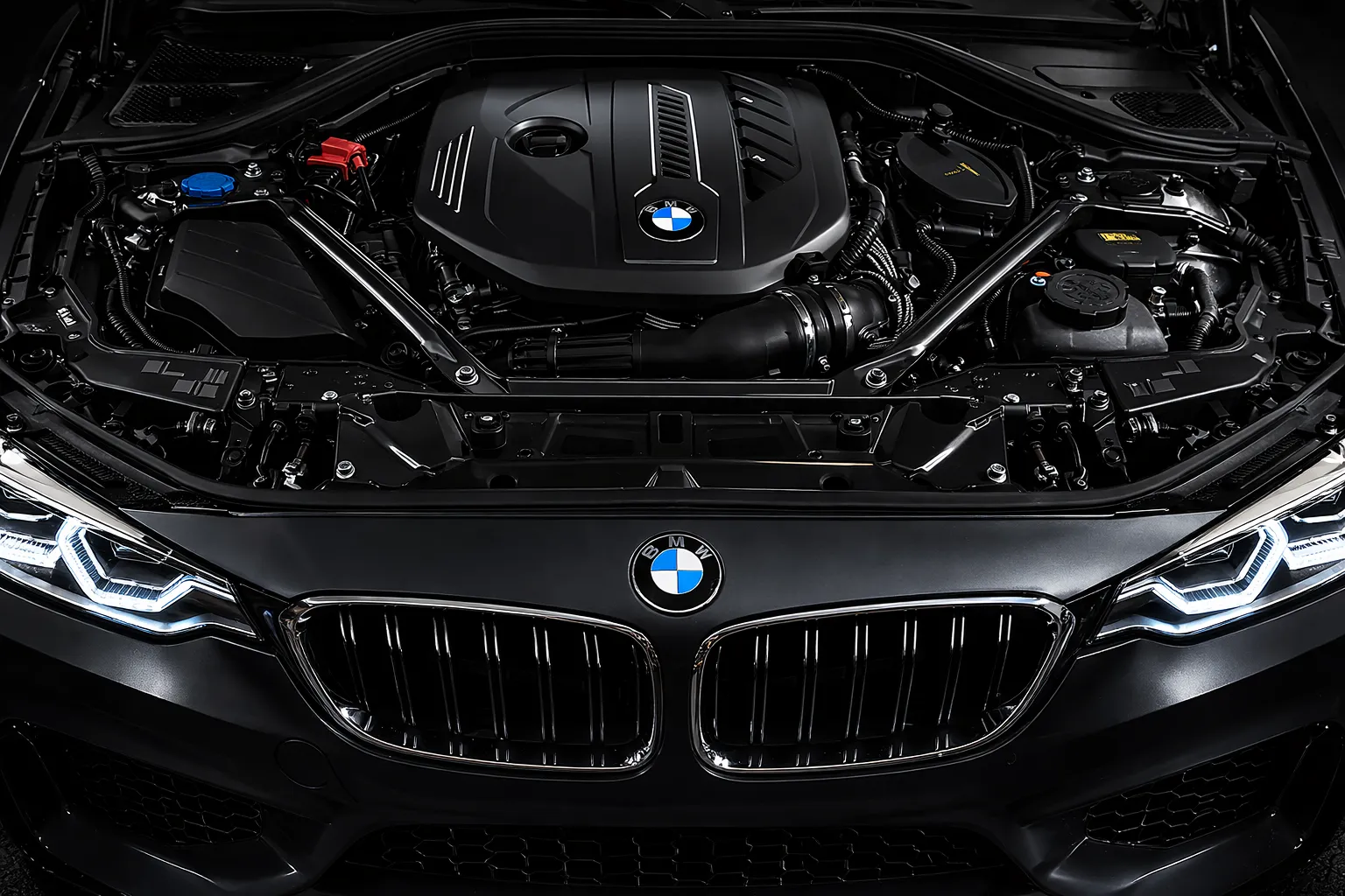 Close-up of a BMW engine bay with the BMW logo visible on the front, showcasing a clean and professionally maintained vehicle at a trusted bmw service al quoz workshop.
