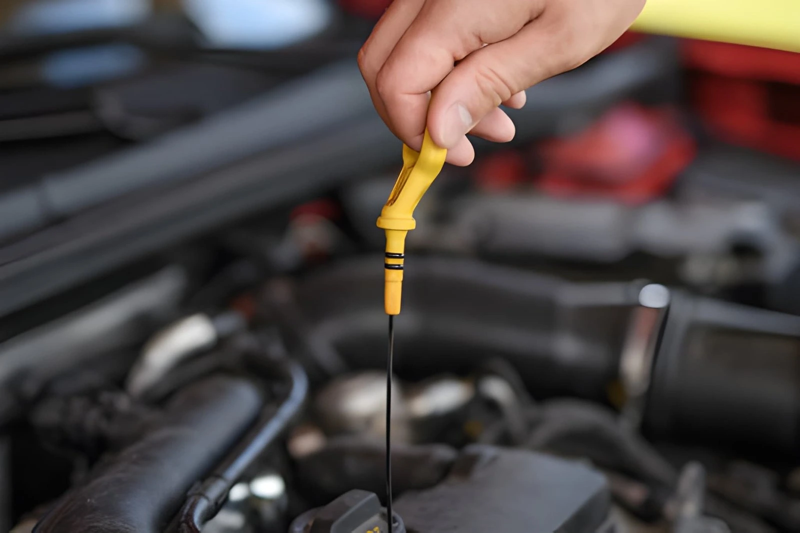 Honda Service and Oil Change