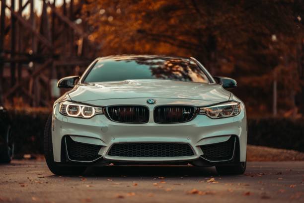 BMW Service Book