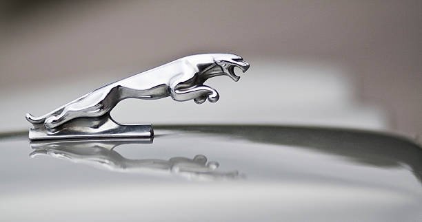 Jaguar Maintenance Dubai