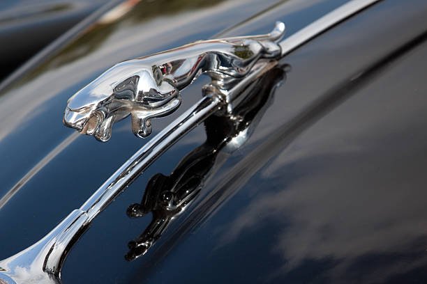 Jaguar Abu Dhabi