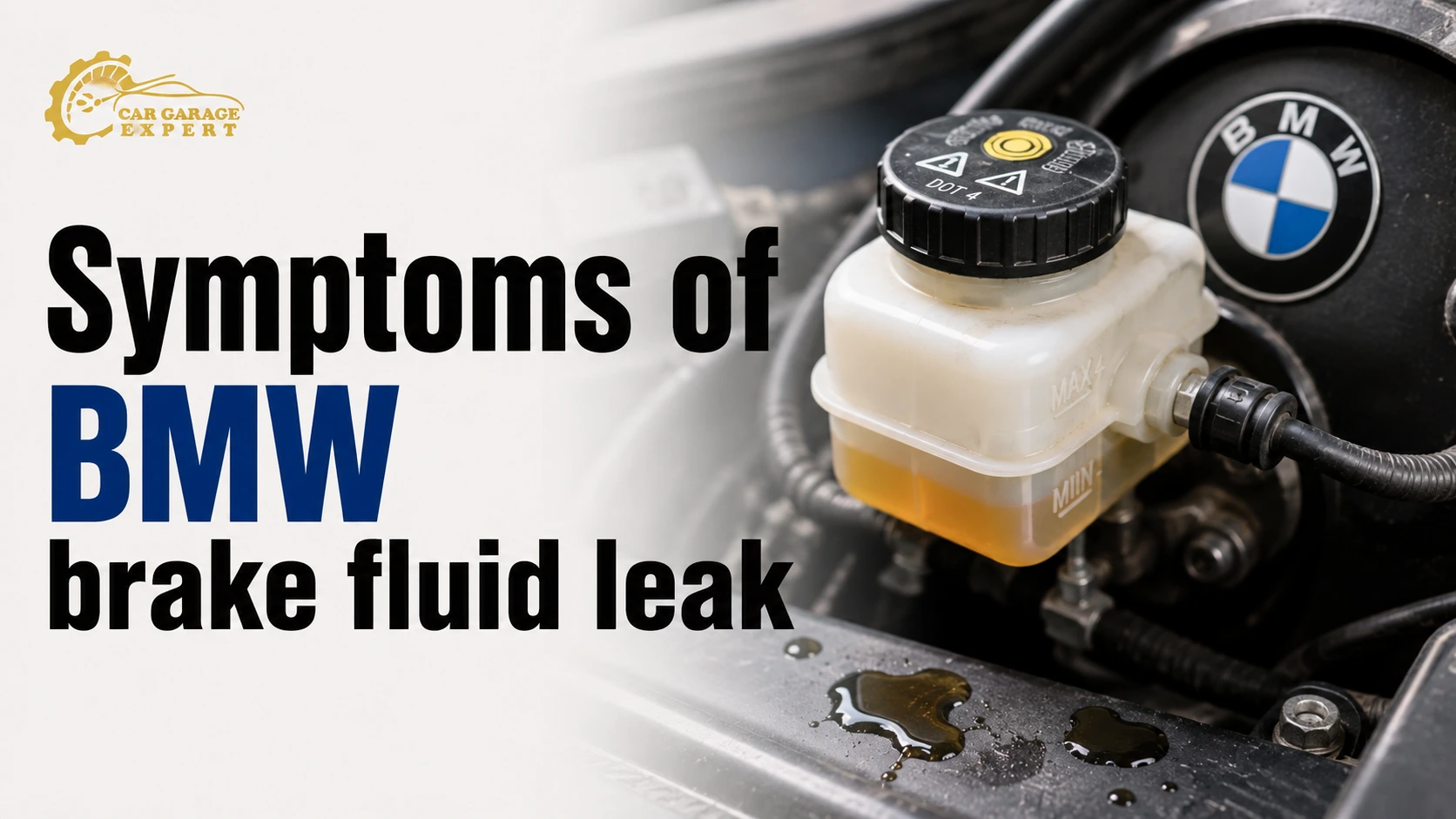 BMW Brake Fluid Leak