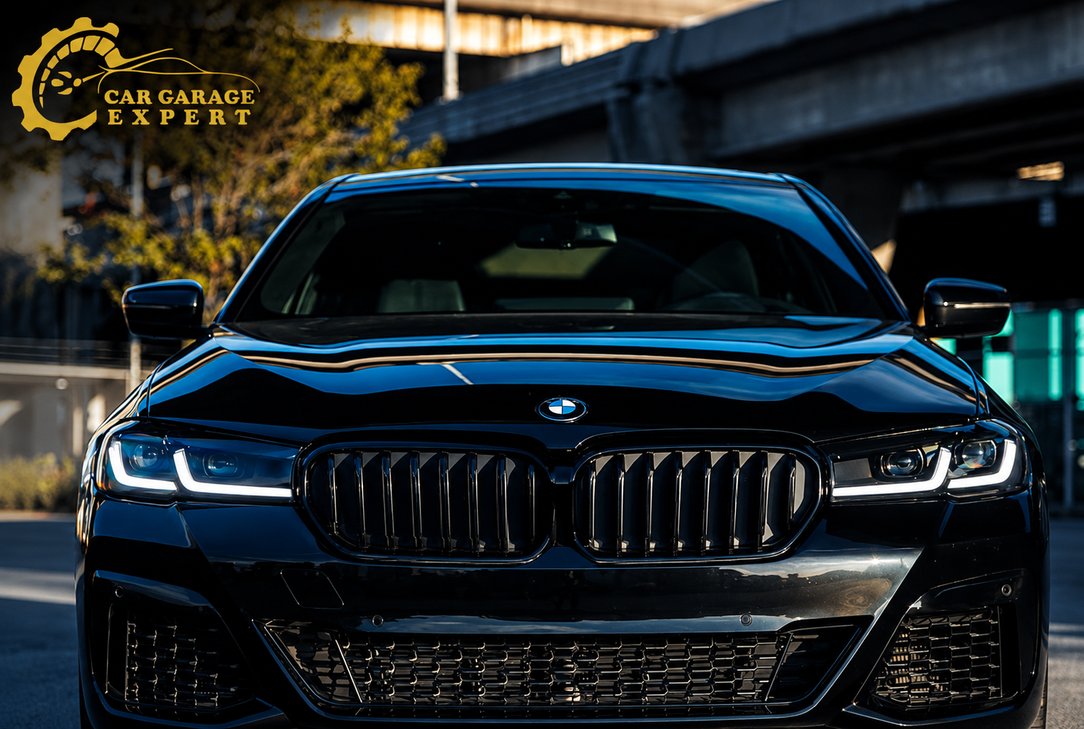 BMW Pre-Purchase Inspection Checklist